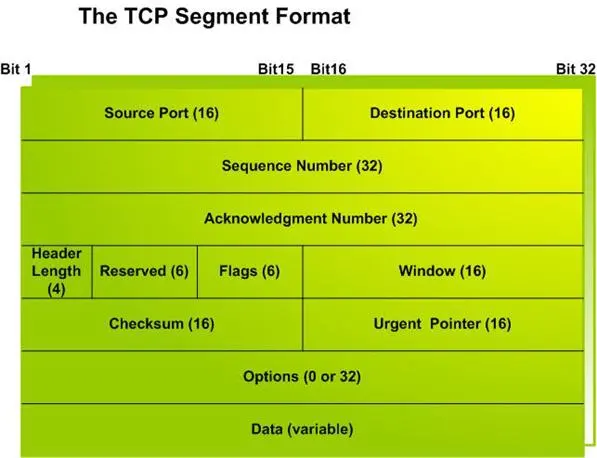 The TCP segment format