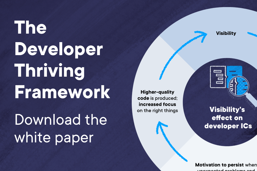 Developer Thriving White Paper Series