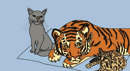 JavaScript.com | Resources